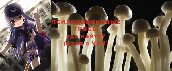 таблы Болотное
