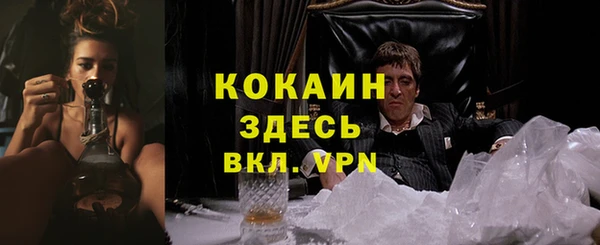 мдпв Карпинск