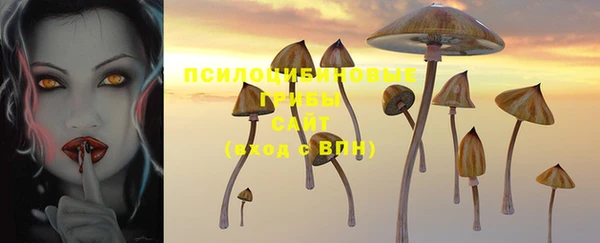 кокаин премиум Козловка