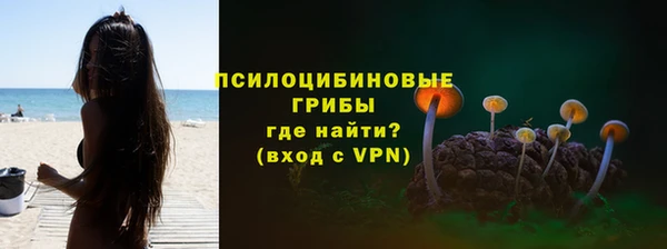 герыч Козельск