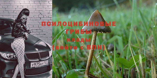 метадон Кодинск
