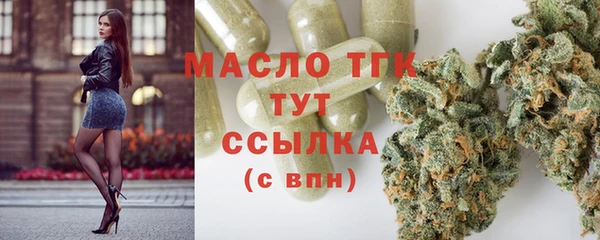 молекула духа Болхов