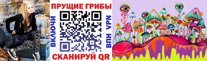 маркетплейс официальный сайт  Киржач  Псилоцибиновые грибы мухоморы 